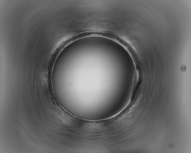 X0000094431307200711151333