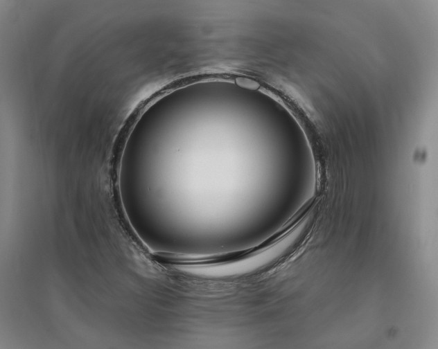 X0000094431308200711151333