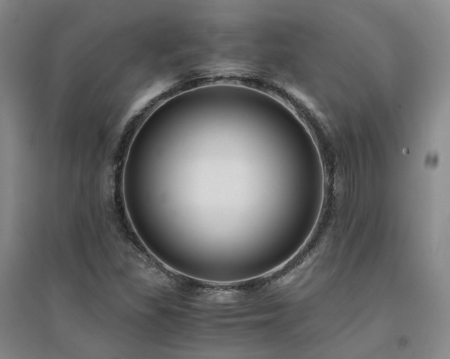 X0000094431309200711151333