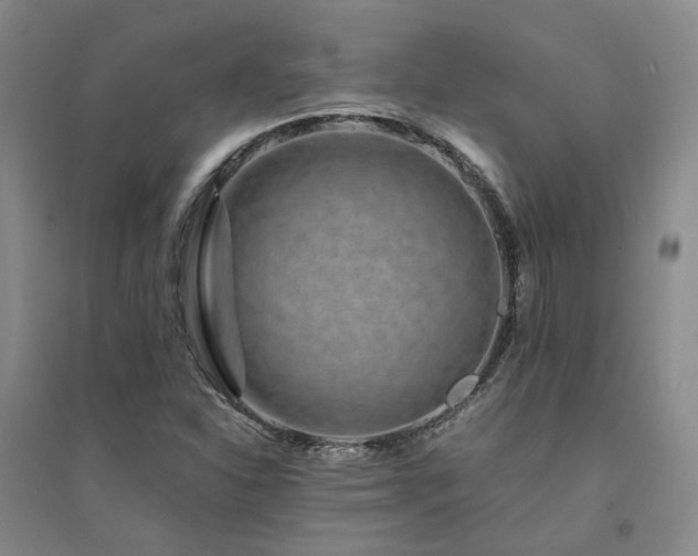 X0000094431310200711151333
