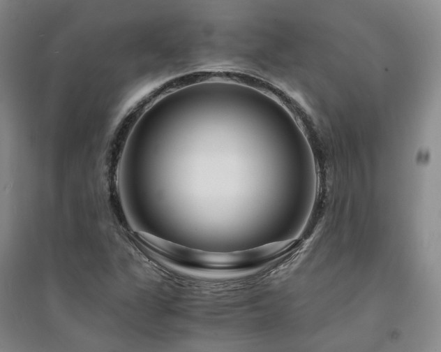 X0000094431311200711151333