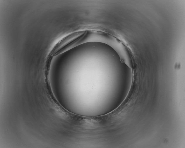 X0000094431312200711151333
