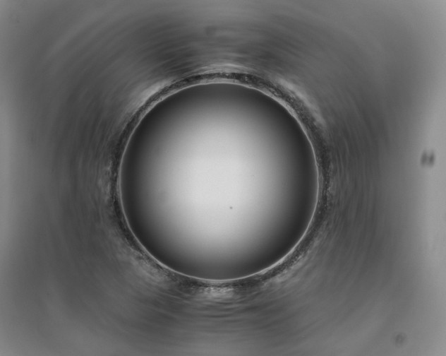 X0000094431313200711151333