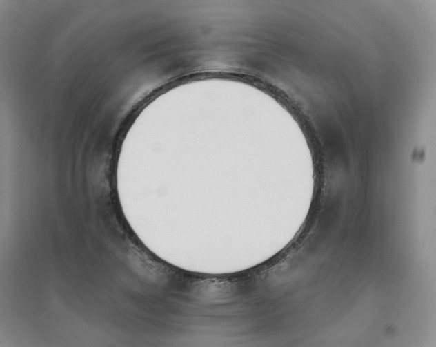 X0000094431314200711151333