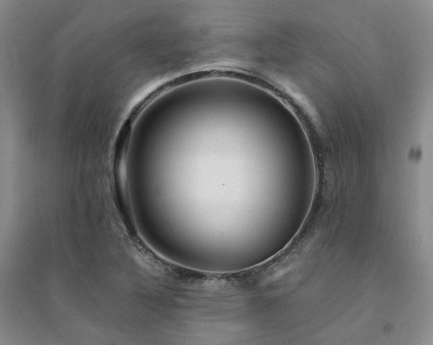 X0000094431316200711151333