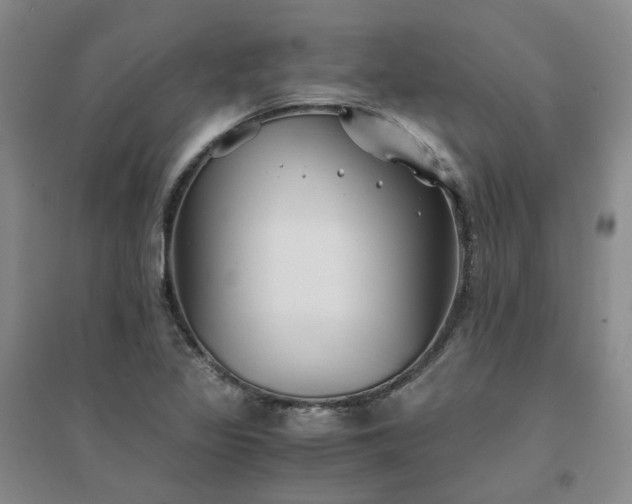 X0000094431317200711151333