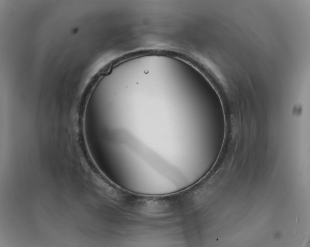 X0000094431318200711151333