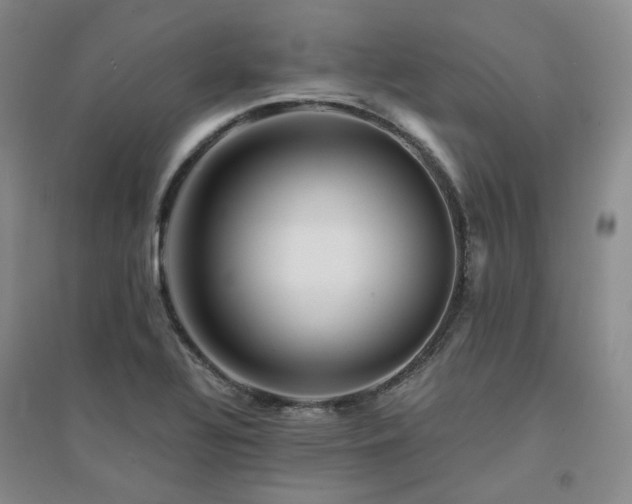 X0000094431320200711151333
