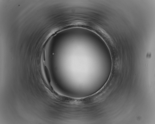 X0000094431321200711151333