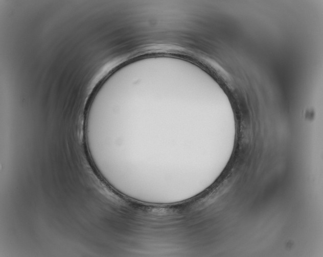 X0000094431322200711151333