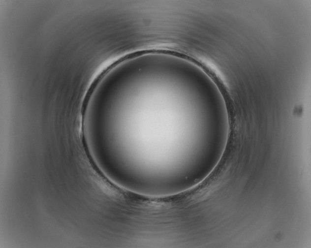 X0000094431324200711151334