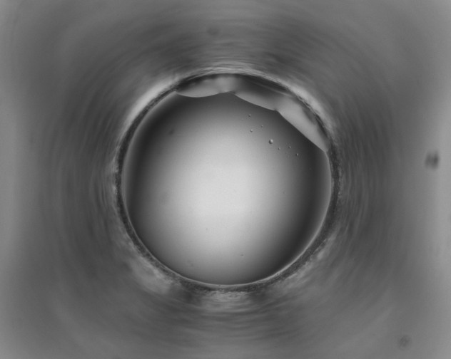 X0000094431325200711151334