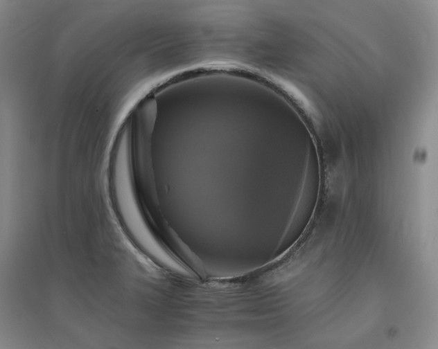 X0000094431327200711151334