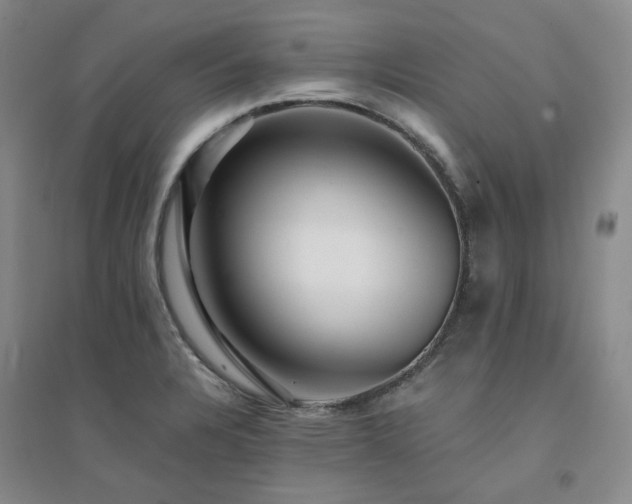 X0000094431328200711151334