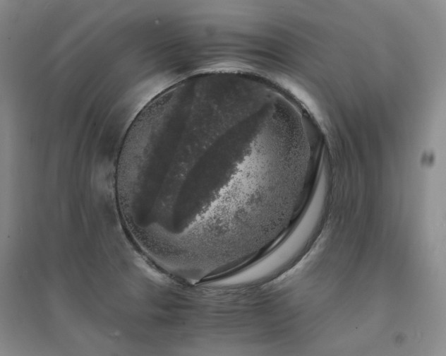 X0000094431329200711151334