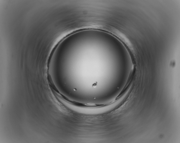 X0000094431332200711151334