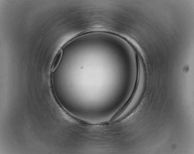 X0000094431333200711151334