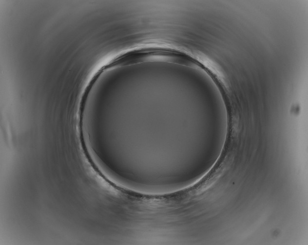 X0000094431334200711151334