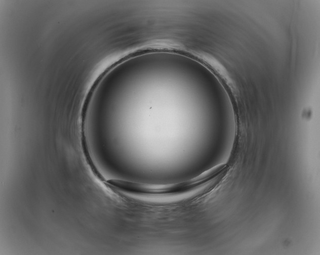 X0000094431335200711151334