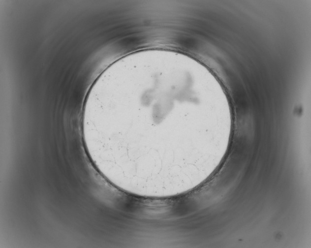 X0000094431338200711151334