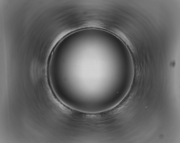X0000094431339200711151334