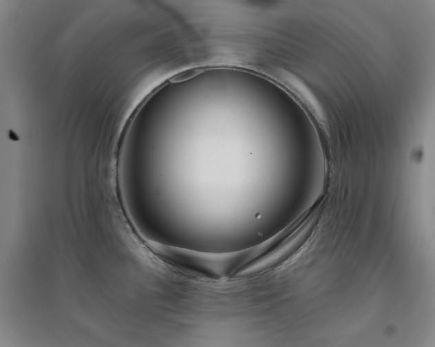 X0000094431340200711151334