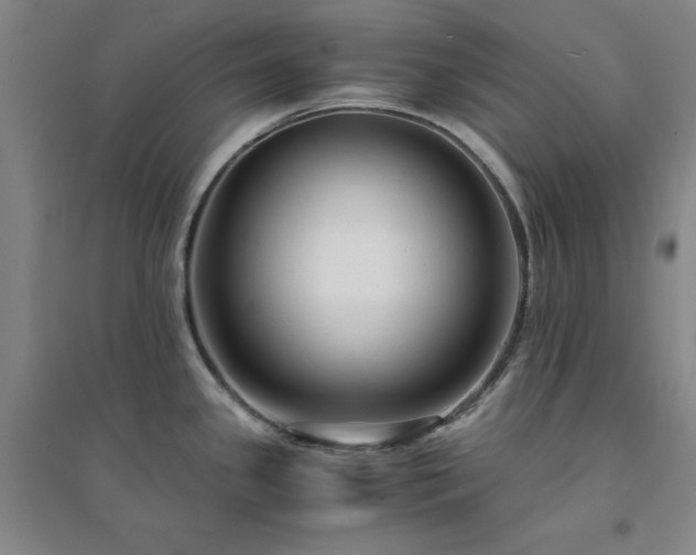 X0000094431341200711151334