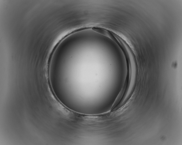 X0000094431342200711151334