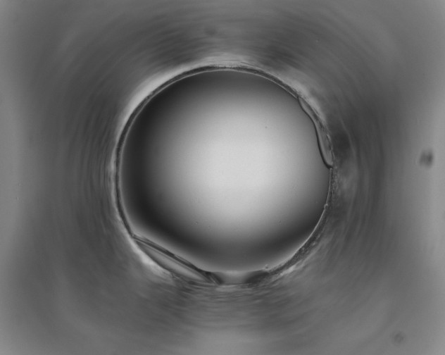 X0000094431343200711151334