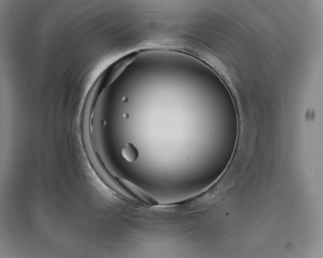 X0000094431344200711151334