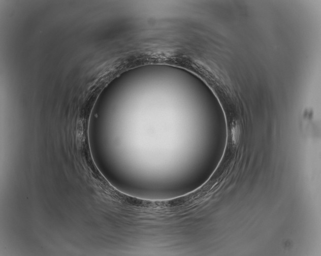 X0000094431347200711151333