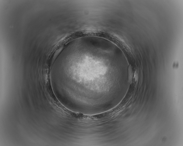 X0000094431348200711151333
