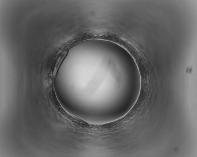 X0000094431349200711151333