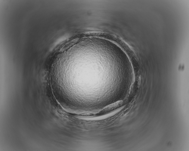 X0000094431351200711151333