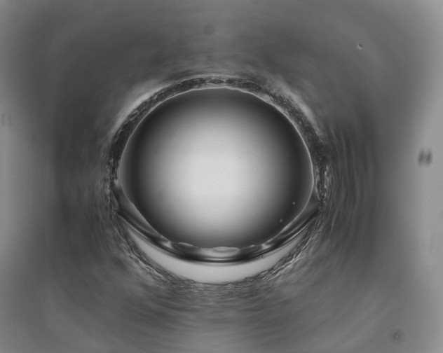 X0000094431352200711151333