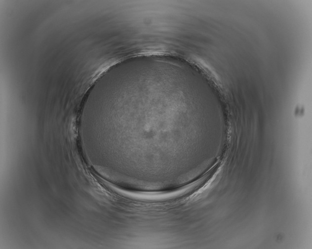 X0000094431353200711151333