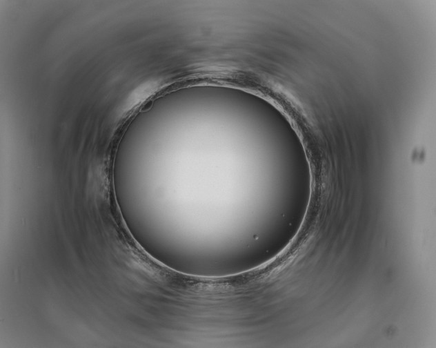 X0000094431354200711151333