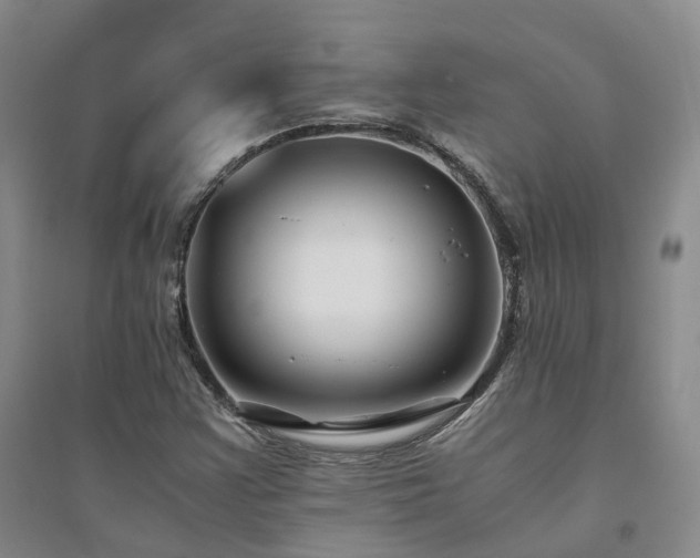 X0000094431355200711151333