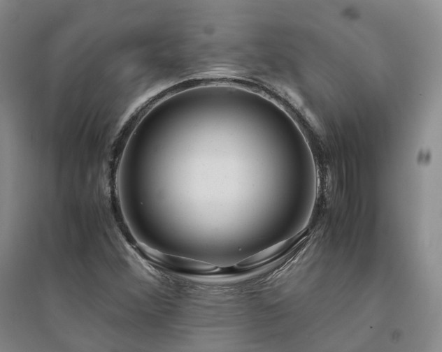 X0000094431356200711151333