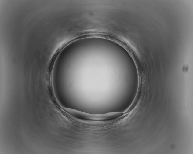 X0000094431357200711151333
