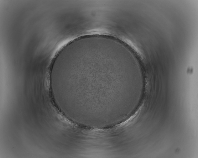 X0000094431358200711151333