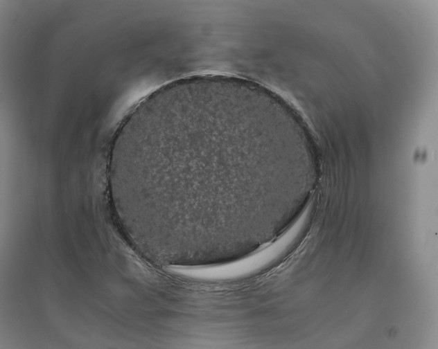 X0000094431359200711151333