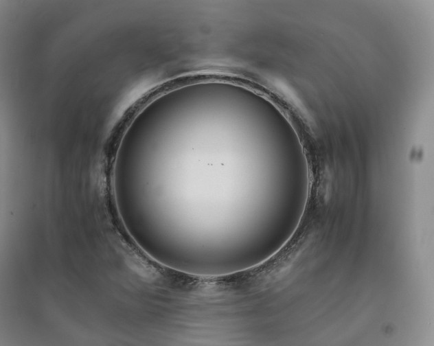 X0000094431360200711151333