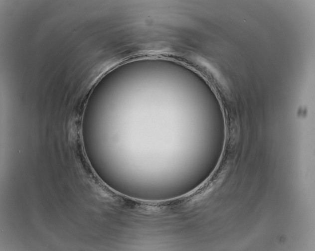 X0000094431361200711151333