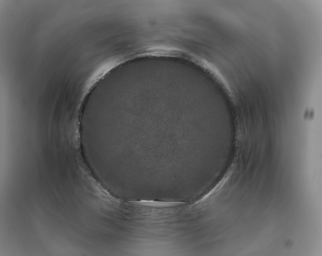 X0000094431362200711151333