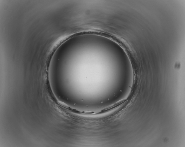 X0000094431363200711151333