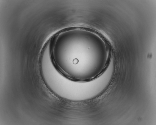 X0000094431364200711151333