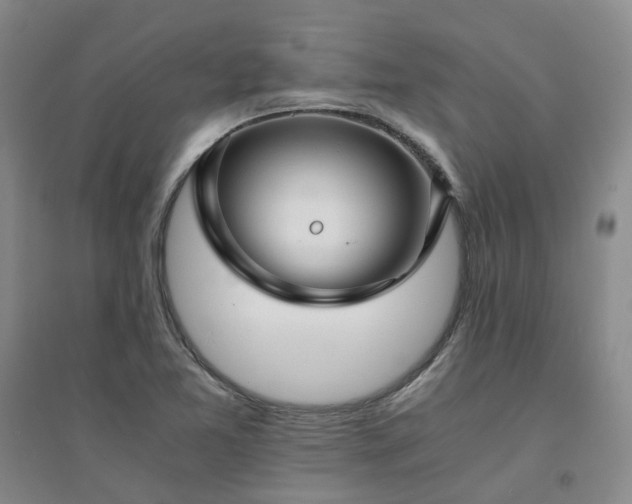 X0000094431365200711151333
