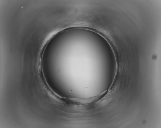 X0000094431366200711151333