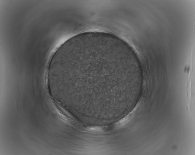 X0000094431367200711151333